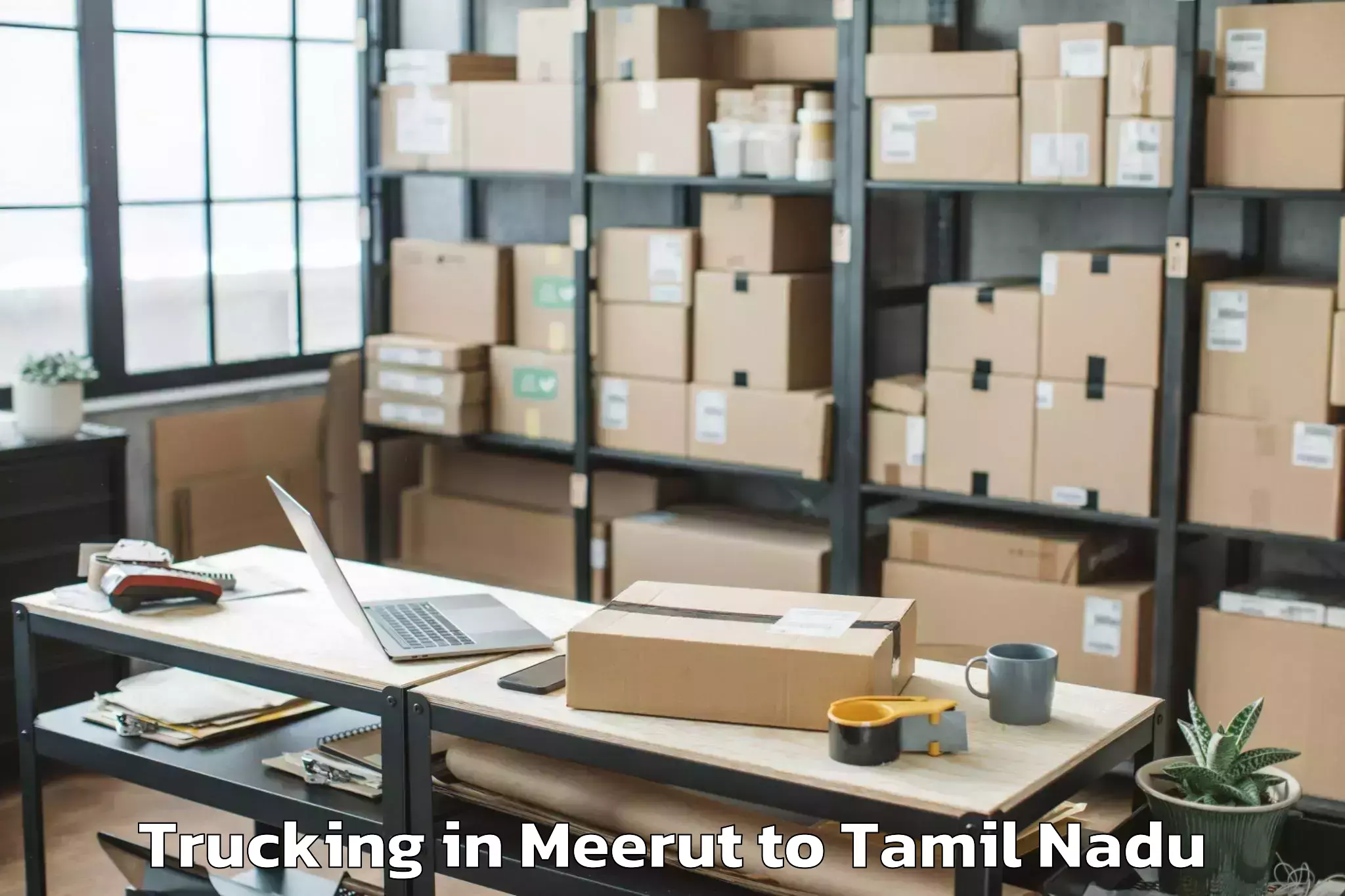 Top Meerut to Paramakudi Trucking Available